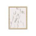 Picture of Ballet of Floral Shadows _GroupedProduct_Rectangle_Portrait_Photography _GroupedProduct_Rectangle_Portrait_Framed_Matted_