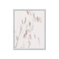 Picture of Ballet of Floral Shadows _GroupedProduct_Rectangle_Portrait_Photography _GroupedProduct_Rectangle_Portrait_Framed_Matted_