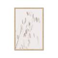 Picture of Ballet of Floral Shadows _GroupedProduct_Rectangle_Portrait_Photography _GroupedProduct_Rectangle_Portrait_Framed_Matted_