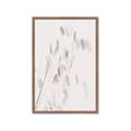 Picture of Ballet of Floral Shadows _GroupedProduct_Rectangle_Portrait_Photography _GroupedProduct_Rectangle_Portrait_Framed_Matted_