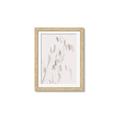 Picture of Ballet of Floral Shadows _GroupedProduct_Rectangle_Portrait_Photography _GroupedProduct_Rectangle_Portrait_Framed_Matted_