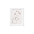 Picture of Ballet of Floral Shadows _GroupedProduct_Rectangle_Portrait_Photography _GroupedProduct_Rectangle_Portrait_Framed_Matted_