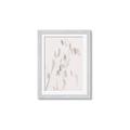 Picture of Ballet of Floral Shadows _GroupedProduct_Rectangle_Portrait_Photography _GroupedProduct_Rectangle_Portrait_Framed_Matted_