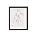 Picture of Ballet of Floral Shadows _GroupedProduct_Rectangle_Portrait_Photography _GroupedProduct_Rectangle_Portrait_Framed_Matted_