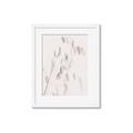 Picture of Ballet of Floral Shadows _GroupedProduct_Rectangle_Portrait_Photography _GroupedProduct_Rectangle_Portrait_Framed_Matted_
