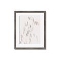 Picture of Ballet of Floral Shadows _GroupedProduct_Rectangle_Portrait_Photography _GroupedProduct_Rectangle_Portrait_Framed_Matted_