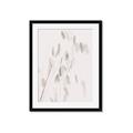Picture of Ballet of Floral Shadows _GroupedProduct_Rectangle_Portrait_Photography _GroupedProduct_Rectangle_Portrait_Framed_Matted_