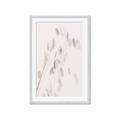 Picture of Ballet of Floral Shadows _GroupedProduct_Rectangle_Portrait_Photography _GroupedProduct_Rectangle_Portrait_Framed_Matted_