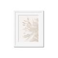 Picture of An Echo of Leaves _GroupedProduct_Rectangle_Portrait_Photography _GroupedProduct_Rectangle_Portrait_Framed_Matted_