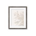 Picture of An Echo of Leaves _GroupedProduct_Rectangle_Portrait_Photography _GroupedProduct_Rectangle_Portrait_Framed_Matted_