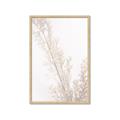 Picture of Earthy Flora Straws _GroupedProduct_Rectangle_Portrait_Photography _GroupedProduct_Rectangle_Portrait_Framed_Matted_