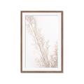 Picture of Earthy Flora Straws _GroupedProduct_Rectangle_Portrait_Photography _GroupedProduct_Rectangle_Portrait_Framed_Matted_