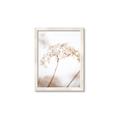 Picture of Desert Bloom Elegance _GroupedProduct_Rectangle_Portrait_Photography _GroupedProduct_Rectangle_Portrait_Framed_Matted_