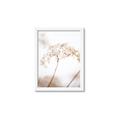 Picture of Desert Bloom Elegance _GroupedProduct_Rectangle_Portrait_Photography _GroupedProduct_Rectangle_Portrait_Framed_Matted_