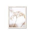 Picture of Desert Bloom Elegance _GroupedProduct_Rectangle_Portrait_Photography _GroupedProduct_Rectangle_Portrait_Framed_Matted_
