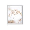 Picture of Desert Bloom Elegance _GroupedProduct_Rectangle_Portrait_Photography _GroupedProduct_Rectangle_Portrait_Framed_Matted_
