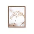 Picture of Desert Bloom Elegance _GroupedProduct_Rectangle_Portrait_Photography _GroupedProduct_Rectangle_Portrait_Framed_Matted_