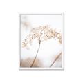 Picture of Desert Bloom Elegance _GroupedProduct_Rectangle_Portrait_Photography _GroupedProduct_Rectangle_Portrait_Framed_Matted_