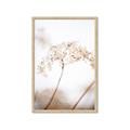 Picture of Desert Bloom Elegance _GroupedProduct_Rectangle_Portrait_Photography _GroupedProduct_Rectangle_Portrait_Framed_Matted_