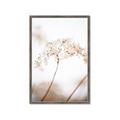 Picture of Desert Bloom Elegance _GroupedProduct_Rectangle_Portrait_Photography _GroupedProduct_Rectangle_Portrait_Framed_Matted_