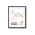 Picture of Desert Bloom Elegance _GroupedProduct_Rectangle_Portrait_Photography _GroupedProduct_Rectangle_Portrait_Framed_Matted_