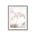 Picture of Desert Bloom Elegance _GroupedProduct_Rectangle_Portrait_Photography _GroupedProduct_Rectangle_Portrait_Framed_Matted_