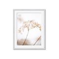 Picture of Desert Bloom Elegance _GroupedProduct_Rectangle_Portrait_Photography _GroupedProduct_Rectangle_Portrait_Framed_Matted_