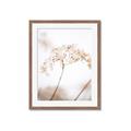 Picture of Desert Bloom Elegance _GroupedProduct_Rectangle_Portrait_Photography _GroupedProduct_Rectangle_Portrait_Framed_Matted_