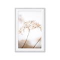 Picture of Desert Bloom Elegance _GroupedProduct_Rectangle_Portrait_Photography _GroupedProduct_Rectangle_Portrait_Framed_Matted_