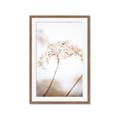 Picture of Desert Bloom Elegance _GroupedProduct_Rectangle_Portrait_Photography _GroupedProduct_Rectangle_Portrait_Framed_Matted_