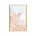 Picture of Neutral Bloom Reeds _GroupedProduct_Rectangle_Portrait_Photography _GroupedProduct_Rectangle_Portrait_Framed_Matted_