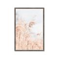 Picture of Neutral Bloom Reeds _GroupedProduct_Rectangle_Portrait_Photography _GroupedProduct_Rectangle_Portrait_Framed_Matted_