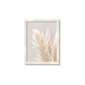 Picture of Creamy Petal Pampas I _GroupedProduct_Rectangle_Portrait_Photography _GroupedProduct_Rectangle_Portrait_Framed_Matted_
