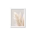 Picture of Creamy Petal Pampas I _GroupedProduct_Rectangle_Portrait_Photography _GroupedProduct_Rectangle_Portrait_Framed_Matted_