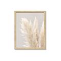 Picture of Creamy Petal Pampas I _GroupedProduct_Rectangle_Portrait_Photography _GroupedProduct_Rectangle_Portrait_Framed_Matted_