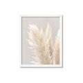Picture of Creamy Petal Pampas I _GroupedProduct_Rectangle_Portrait_Photography _GroupedProduct_Rectangle_Portrait_Framed_Matted_
