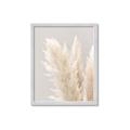 Picture of Creamy Petal Pampas I _GroupedProduct_Rectangle_Portrait_Photography _GroupedProduct_Rectangle_Portrait_Framed_Matted_