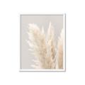 Picture of Creamy Petal Pampas I _GroupedProduct_Rectangle_Portrait_Photography _GroupedProduct_Rectangle_Portrait_Framed_Matted_