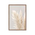 Picture of Creamy Petal Pampas I _GroupedProduct_Rectangle_Portrait_Photography _GroupedProduct_Rectangle_Portrait_Framed_Matted_