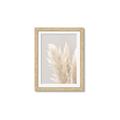 Picture of Creamy Petal Pampas I _GroupedProduct_Rectangle_Portrait_Photography _GroupedProduct_Rectangle_Portrait_Framed_Matted_