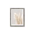 Picture of Creamy Petal Pampas I _GroupedProduct_Rectangle_Portrait_Photography _GroupedProduct_Rectangle_Portrait_Framed_Matted_