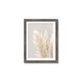 Picture of Creamy Petal Pampas I _GroupedProduct_Rectangle_Portrait_Photography _GroupedProduct_Rectangle_Portrait_Framed_Matted_