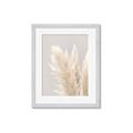 Picture of Creamy Petal Pampas I _GroupedProduct_Rectangle_Portrait_Photography _GroupedProduct_Rectangle_Portrait_Framed_Matted_