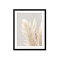 Picture of Creamy Petal Pampas I _GroupedProduct_Rectangle_Portrait_Photography _GroupedProduct_Rectangle_Portrait_Framed_Matted_