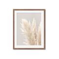 Picture of Creamy Petal Pampas I _GroupedProduct_Rectangle_Portrait_Photography _GroupedProduct_Rectangle_Portrait_Framed_Matted_