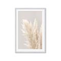 Picture of Creamy Petal Pampas I _GroupedProduct_Rectangle_Portrait_Photography _GroupedProduct_Rectangle_Portrait_Framed_Matted_