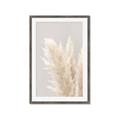 Picture of Creamy Petal Pampas I _GroupedProduct_Rectangle_Portrait_Photography _GroupedProduct_Rectangle_Portrait_Framed_Matted_