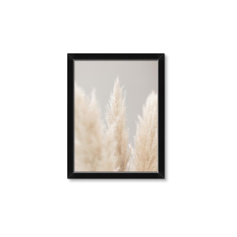Picture of Creamy Petal Pampas II _GroupedProduct_Rectangle_Portrait_Photography _GroupedProduct_Rectangle_Portrait_Framed_Matted_