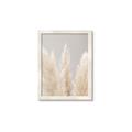 Picture of Creamy Petal Pampas II _GroupedProduct_Rectangle_Portrait_Photography _GroupedProduct_Rectangle_Portrait_Framed_Matted_