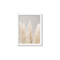 Picture of Creamy Petal Pampas II _GroupedProduct_Rectangle_Portrait_Photography _GroupedProduct_Rectangle_Portrait_Framed_Matted_